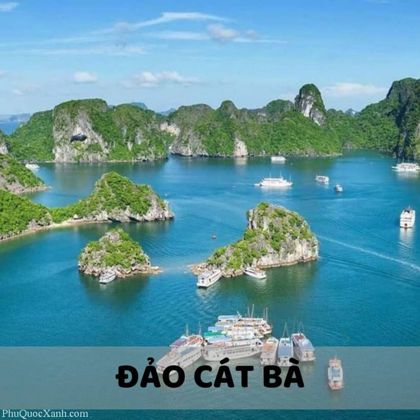 Alt:  Vịnh Lan Hạ với  những hòn đảo đá vôi nhấp nhô trên mặt nước trong xanh