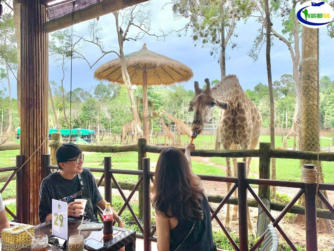 Hình ảnh hoạt động tại Vinpearl Safari Phú Quốc