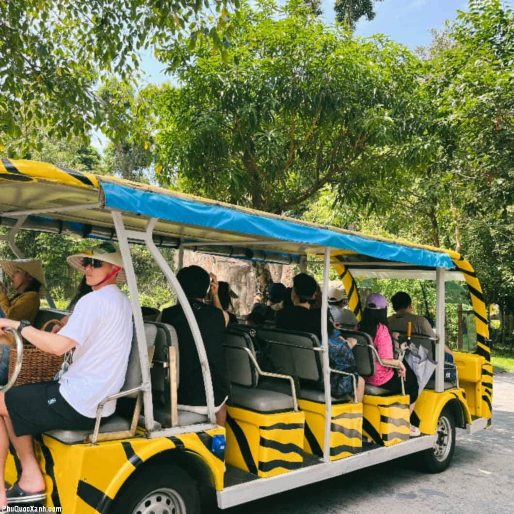 Hình ảnh xe điện đưa đón tại Vinpearl Safari Phú Quốc