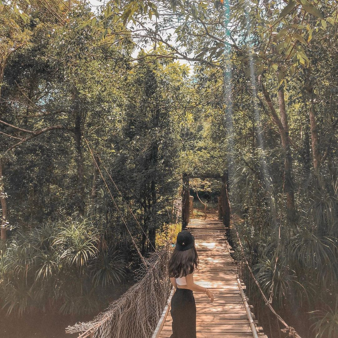 Cầu treo Suối Đá Bàn