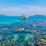4 top-rated activities you should do on Phu Quoc Island