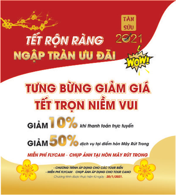 TẾT RỘN RÀNG – NGẬP TRÀN ƯU ĐÃI